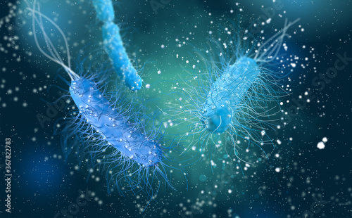 Valokuva Dangerous pathogenic bacteria Escherichia coli, colibacillus, pathogen of stomac