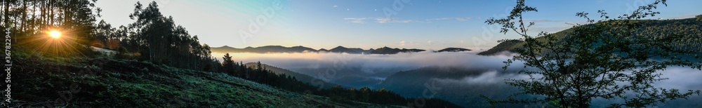Sunrise among pine trees with the sea of clouds covering the Sopuerta valley
