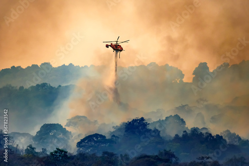 Fototapeta Firefithing helicopter dropping water on forest fire