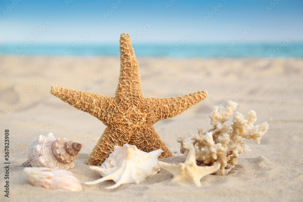 Starfish and beautiful seashells on sandy beach Starfish and beautiful seashells on sandy beach