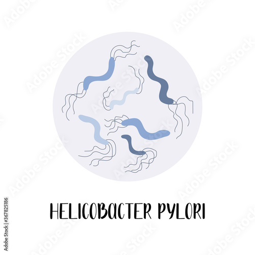 Принти на полотні Helicobacter pylori or Campylobacter pylori
