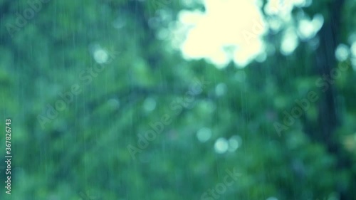 Raining day 4k video