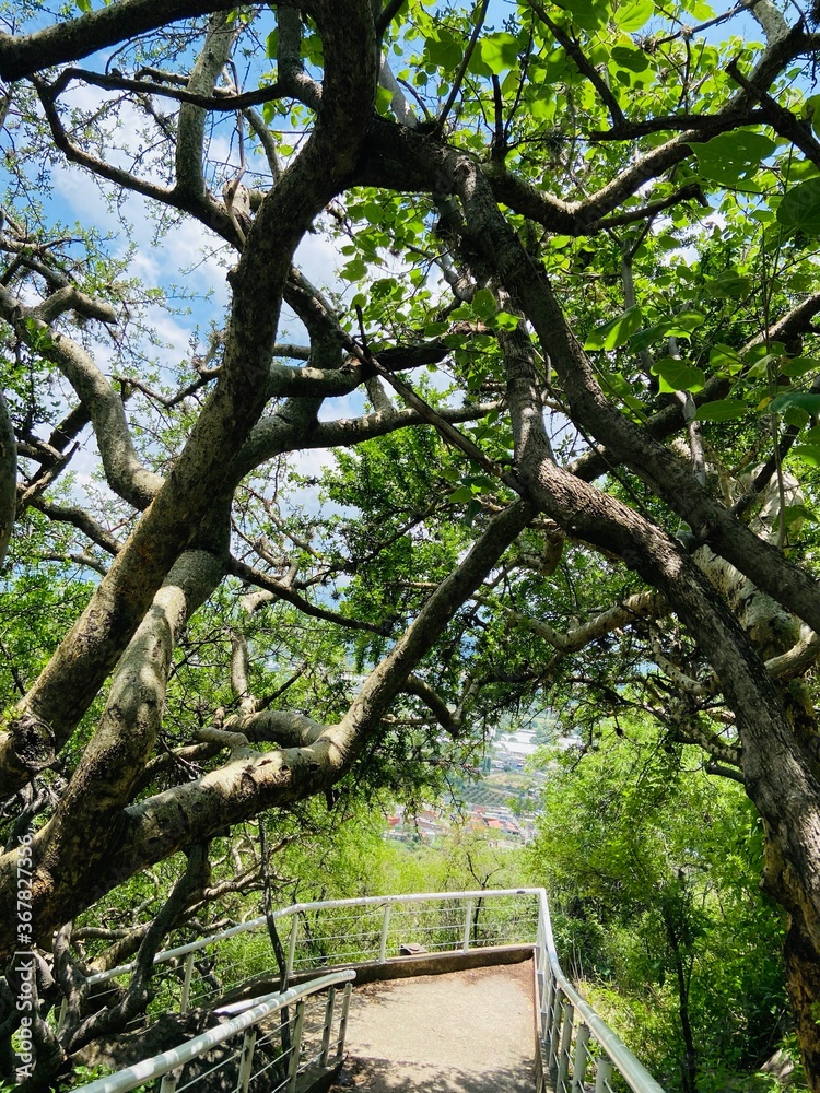 Fototapeta premium naturaleza 