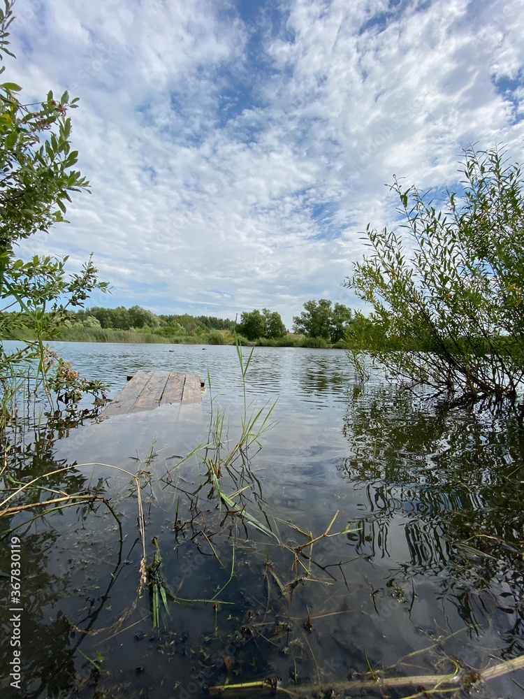 Fototapeta premium reflection of trees in water