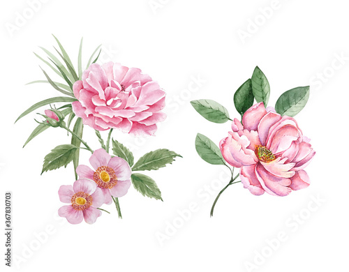 set of bouquets with pink flowers, watercolor illustration on a white background