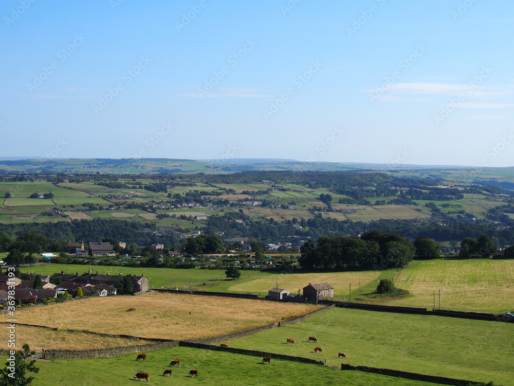 view of the village of luddenden in the calder valley surrounded by trees and cows grazing in fields