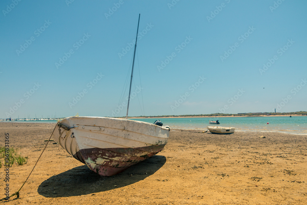 Fototapeta premium boats in the marshes waiting for the tide