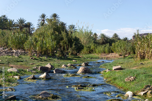 Beautiful Desert oasis landscape in Oasis De Fint near Ourzazate in Morocco, North Africa
