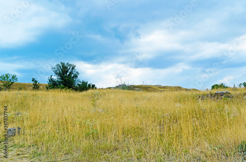 Beautiful landscape of yellow grass and sky on a hill