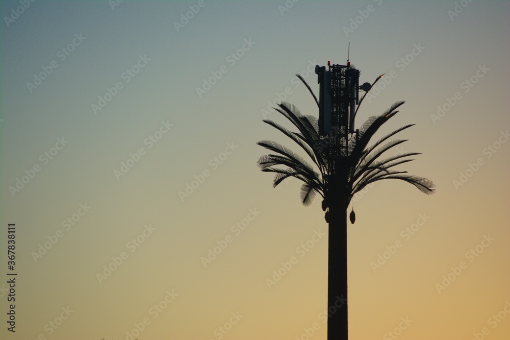 Hiden telecom antena at sunset with clear sky in background.