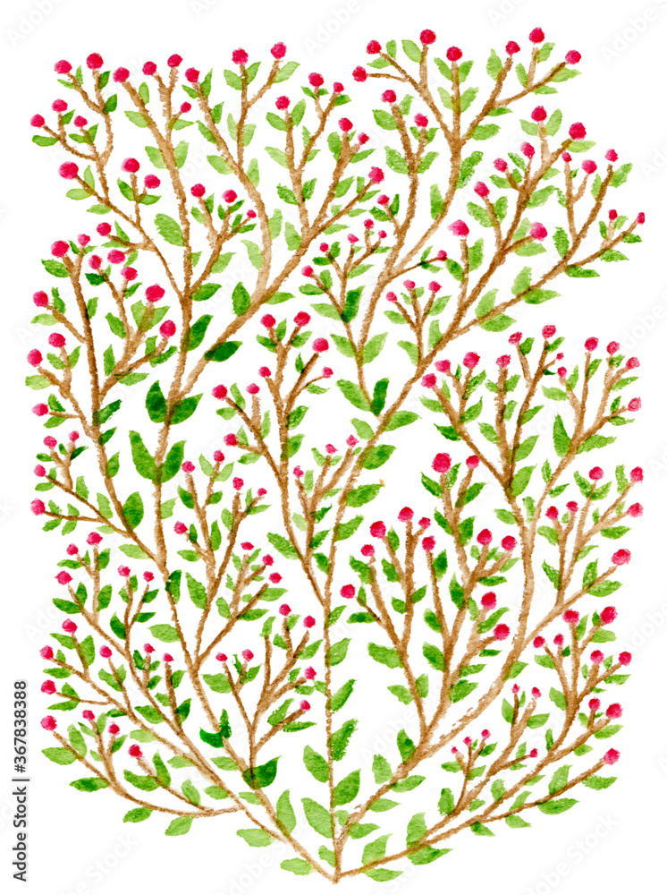 green bush with red berries isolated on white background hand made colored watercolor pencils drawing