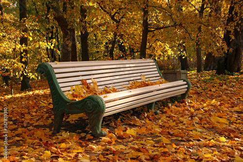 bench in an autumn park among fallen leaves on the ground and on a seat