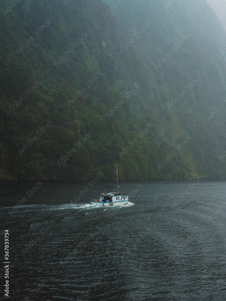 Fototapeta premium Doubtful / Milford sound - New Zealand #7