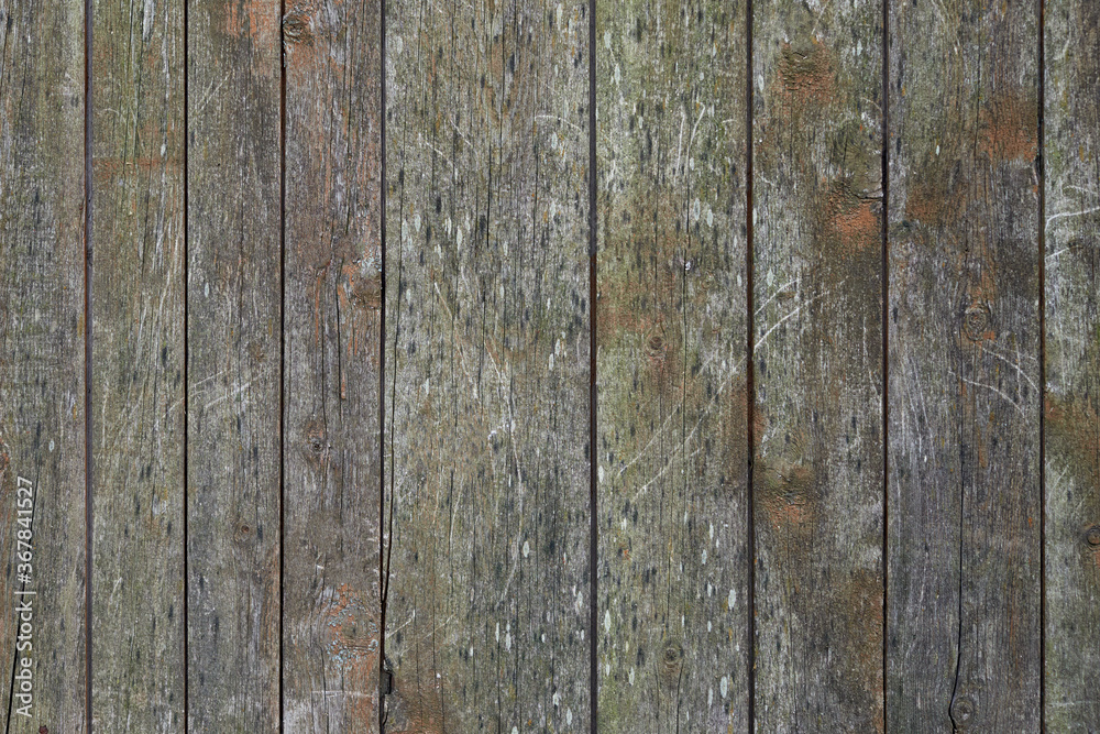 Fototapeta premium Old wooden planks background texture. Timber wall or weathered fence. Natural structure.