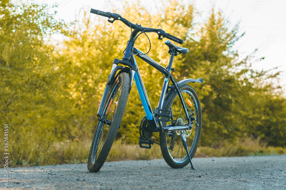 Naklejka premium Sport blue bisycle standing in park.
