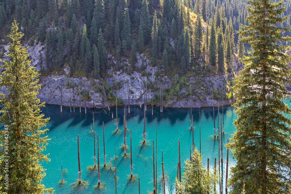 kaindy-lake-in-kazakhstan-known-also-as-birch-tree-lake-or-underwater