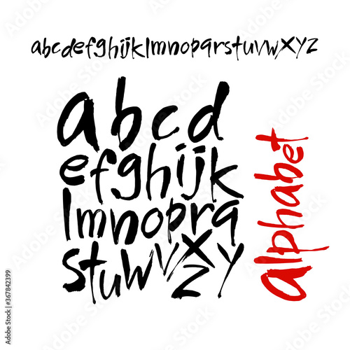 Vector Acrylic Brush Style Hand Drawn Alphabet Font. Calligraphy alphabet on a white background