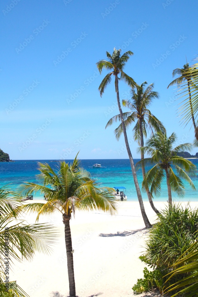 Beautiful landscape with white sand lonely beach, turquoise blue water sea, and green  palm trees coconut in the lagoon of El Nido, palawan, Philippines Islands.