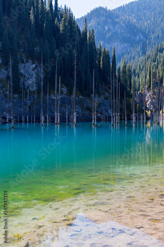 Kaindy Lake in Kazakhstan known also as Birch Tree Lake or Underwater forest, with tree trunks coming out of the water.