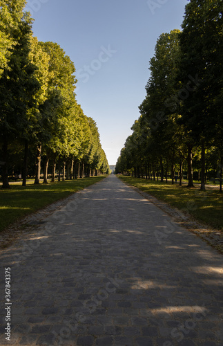 Versailles  © Paul