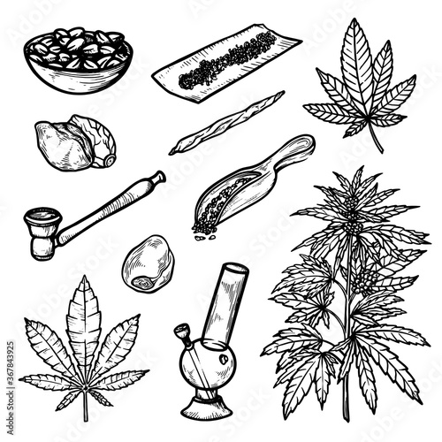 Marijuana, cannabis for drug and medical use