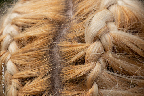 braided spikelet on the head of a young blonde girl close up photo