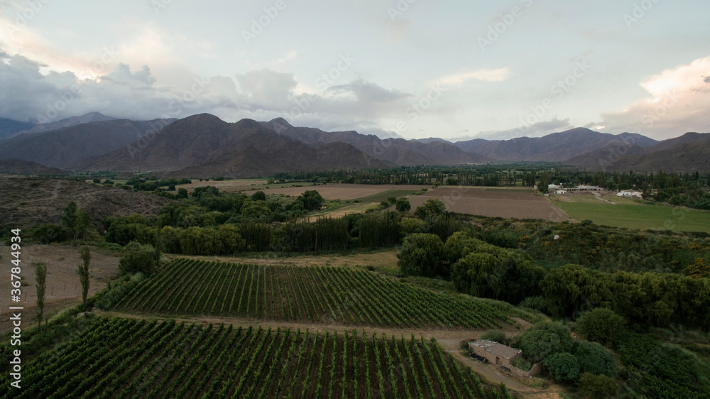 Rural scenic. Agriculture industry. Aerial view of the vineyards, farmland and plantations in the mountains at sunset.