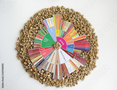 Specialty coffee concept. Raw green coffee beans on taster's flavor wheel. Top view. Third wave coffee