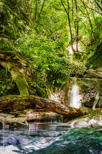 Waterfalls of the Rioscuro stream, in Cineto Romano