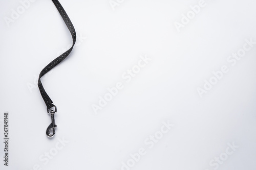 Dog leash with carabiner on a white background with space for text. Flat lay.