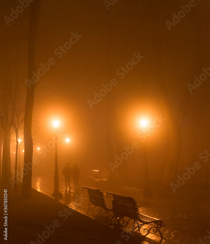 Couple park fog mist night