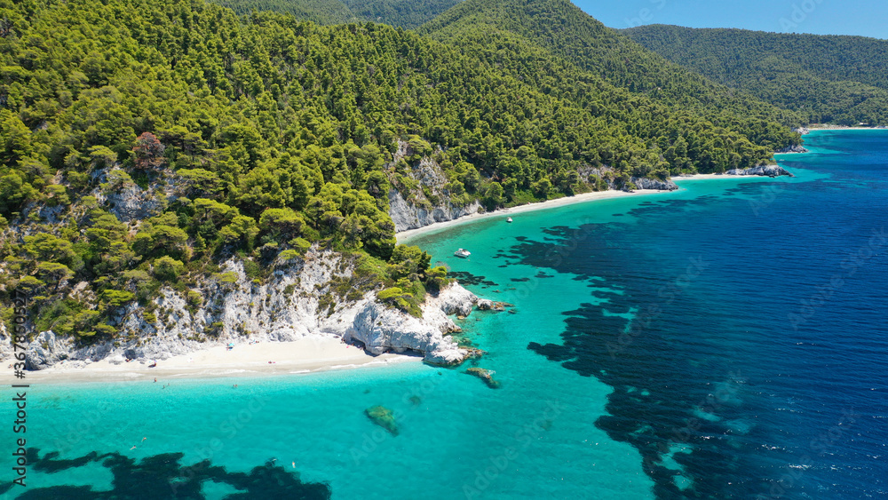 Aerial drone panoramic photo of famous turquoise paradise beach of Hovolo covered with pine trees, Skopelos island, Sporades, Greece