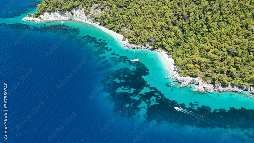 Aerial drone photo of secluded turquoise paradise beaches only accessed by boat of Ftelia and Megalo Pefko covered with pine trees, Skopelos island, Sporades, Greece