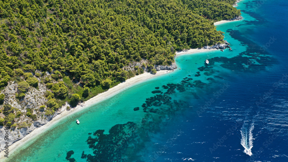 Fototapeta premium Aerial bird's eye view photo taken by drone of tropical seascape and sandy beach with turquoise clear sea and pine tree forest