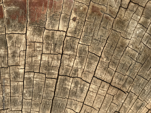 Wooden log surface filled with rhythmic cracks