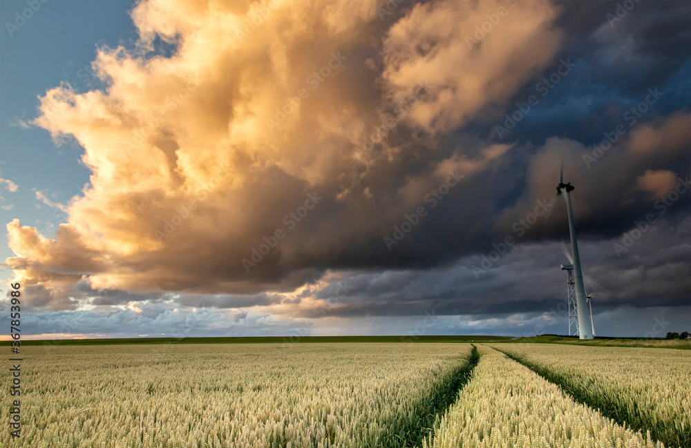 Obraz premium beautiful sunset storm sky over wheat field