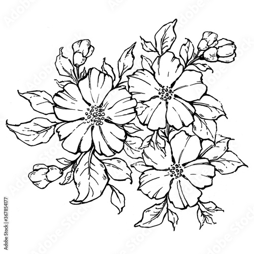 Tattoo branch of flowers. Branch of blooming rose. Floral illustration for tattoo  t-shirt design. Tattoo for thigh  back  small of back