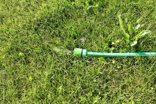 Watering hose on a green, well maintained lawn