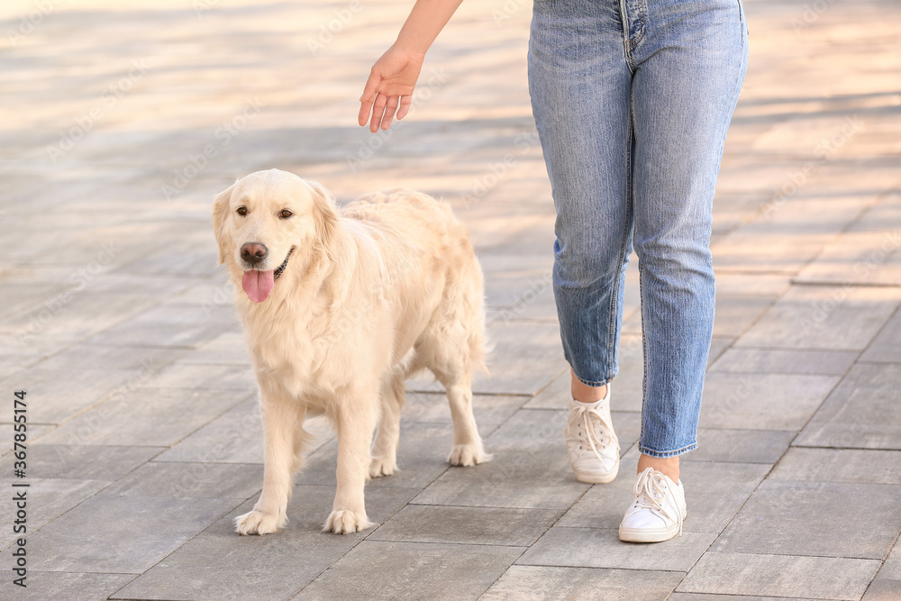 Young woman with cute dog walking outdoors Young woman with cute dog walking outdoors