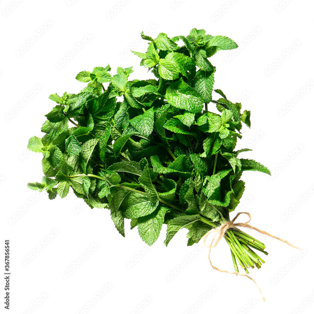 Fresh green mint on white background Fresh green mint on white background