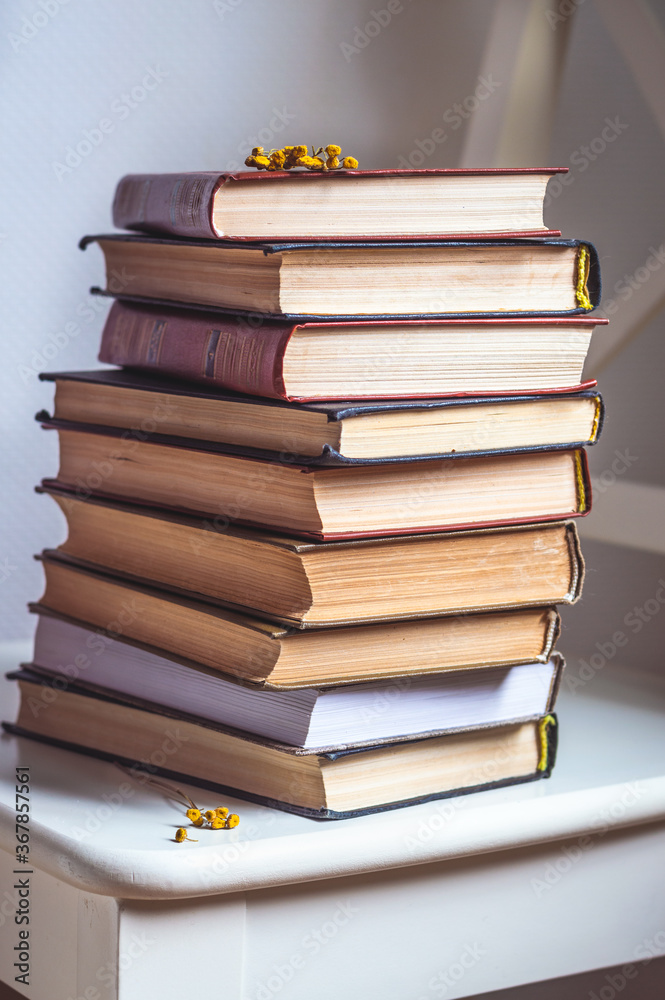 Fototapeta premium Book, stack of a few books