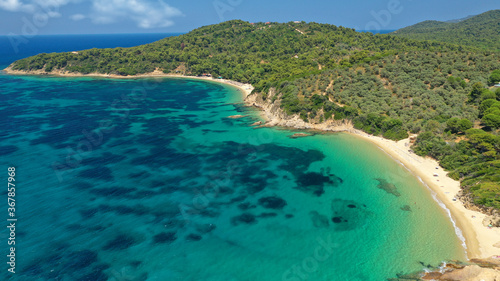 Aerial drone photo of paradise beaches of Banana and small Banana covered with pine trees in beautiful island of Skiathos, Sporades, Greece © aerial-drone