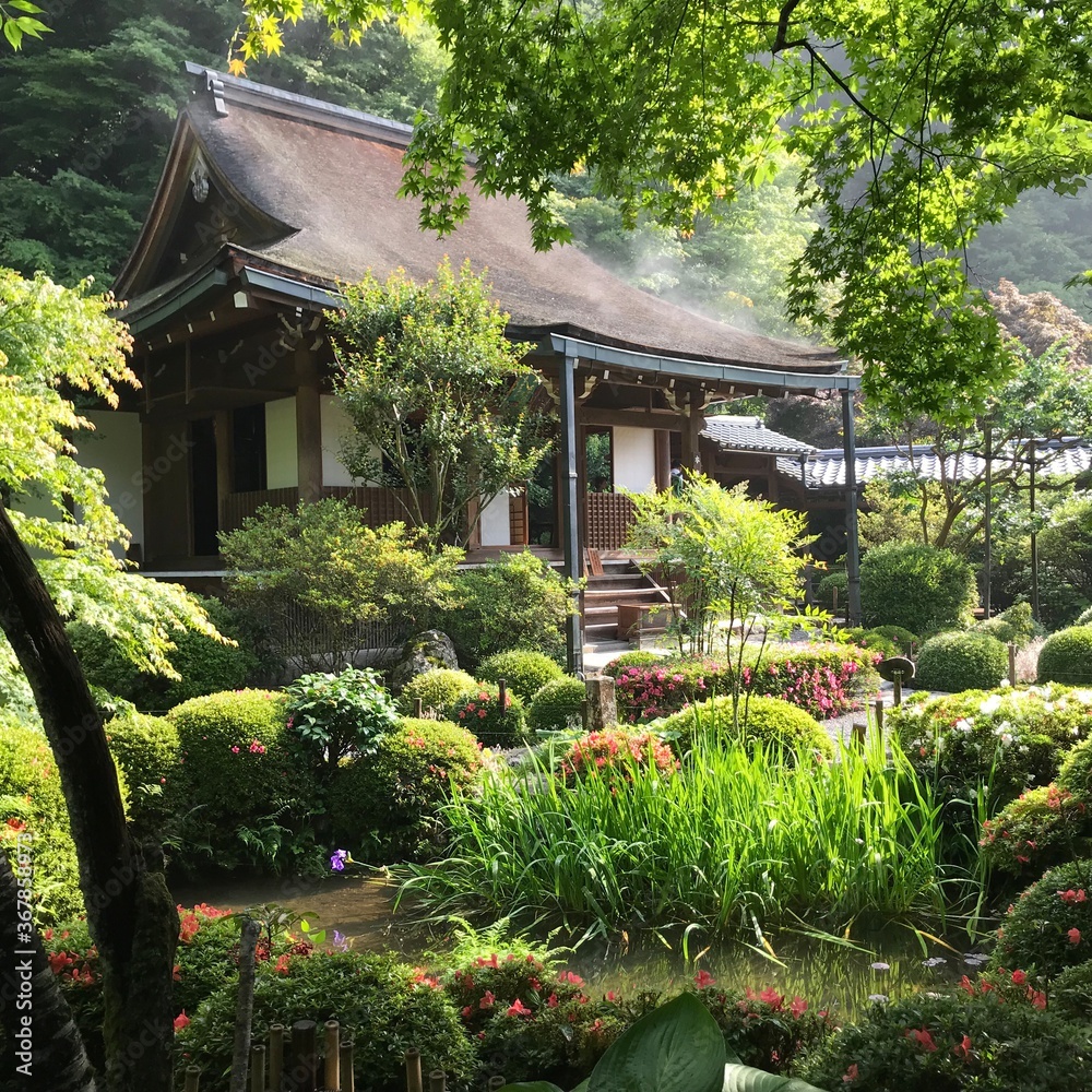 Japanese traditional garden