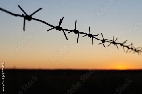 Barbed wire against the sunset on a summer July evening in the Russian steppe