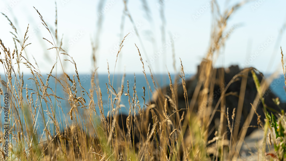 Fototapeta premium Espectacular vista, playa rocosa, costa del mar