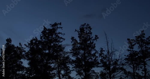 Tree Line at Night with Clouds
