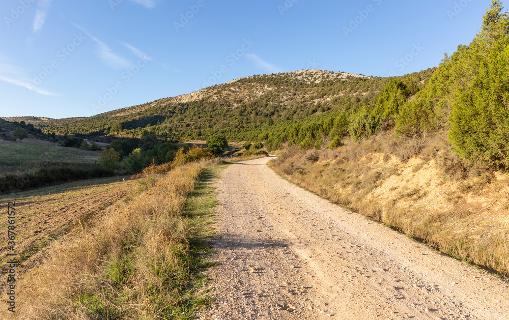 dirt road in the mountains next to Contreras village (Santo Domingo de Silos), province of Burgos, Castile and Leon, Spain