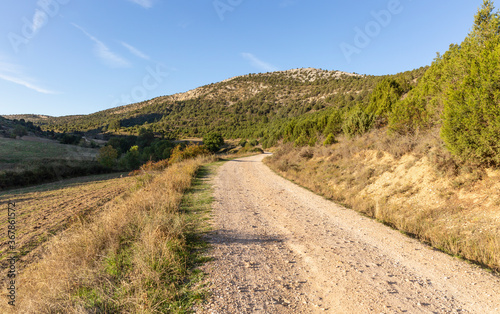 dirt road in the mountains next to Contreras village  Santo Domingo de Silos   province of Burgos  Castile and Leon  Spain