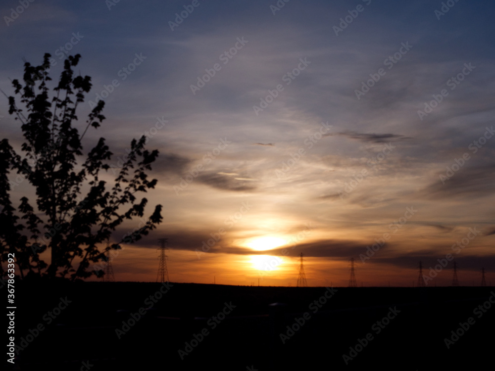 sunset over a tree