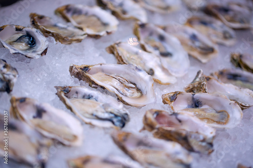 Freshly opened oysters on crushed ice in a buffet.